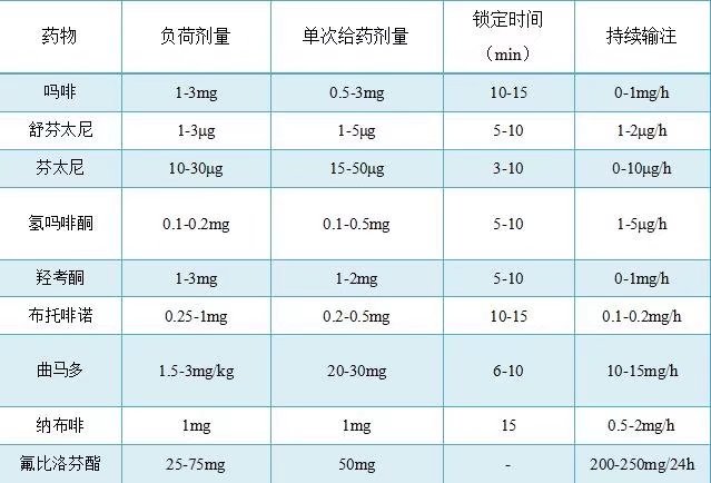 成人常用PCIA药物方案