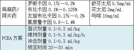 小儿常用PCEA药物方案